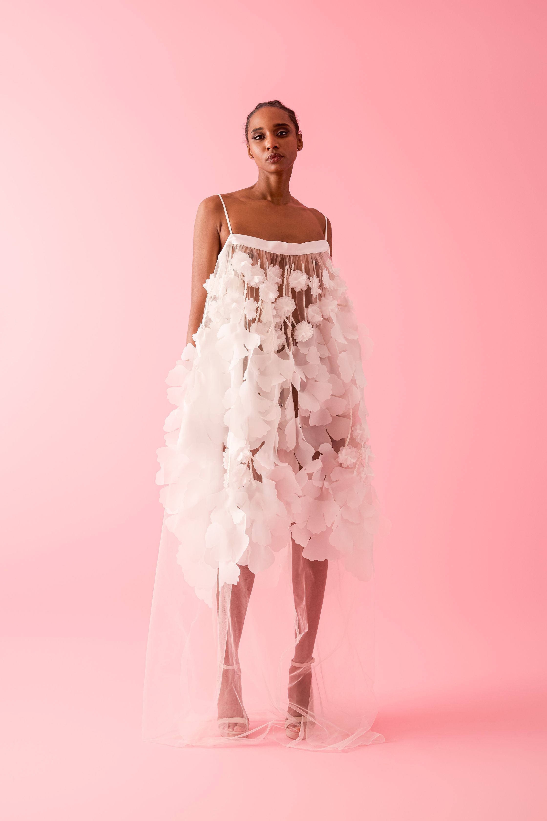 Frederick Anderson 2026早秋005